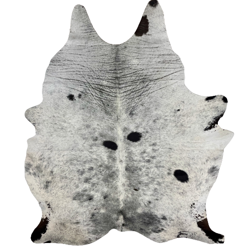 XL Black and White Speckled Brazilian Cowhide, 2 brand marks:  white with fine, black speckles, and a few black spots, and two brand marks on the right, hind shank - 8'4" x 6'4" (BRSP1811)