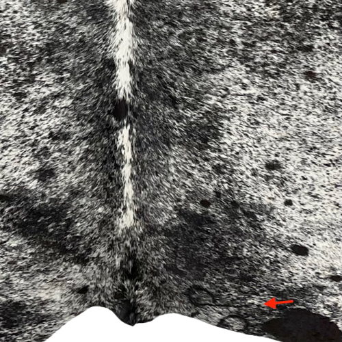 Closeup of this XXL, Black and White, Speckled, Brazilian Cowhide, showing one brand mark on the right side, along the bottom edge  (BRSP1817)