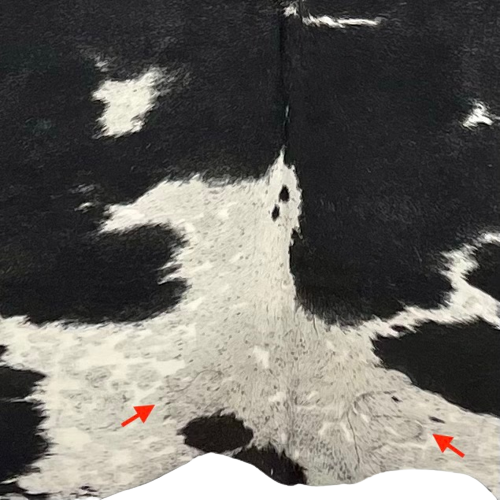 Closeup of this XL, Black and White, Cloudy, Speckled, Brazilian Cowhide, showing two brand marks in the middle, along the lower edge (BRSP1827)