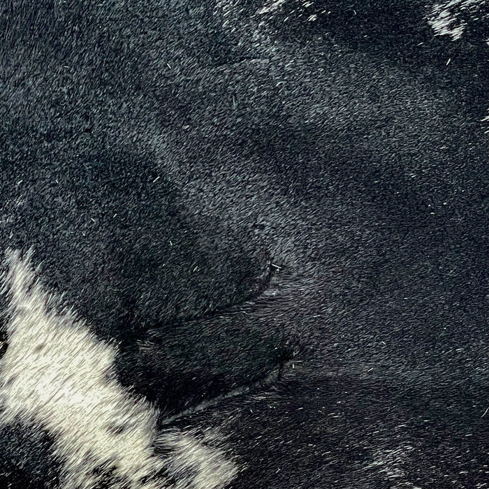 Large Brazilian Black and White Salt & Pepper Cowhide, showing another branding mark near the bottom of the hide (BRSP885)