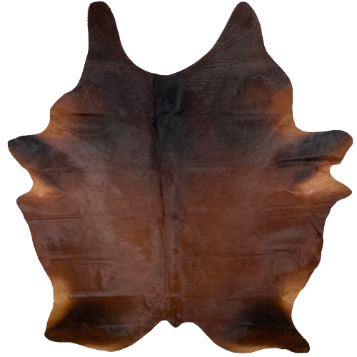 Brazilian Red Watusi Cowhide, red brown, with black on the shoulder and shanks - 7'3" x 5'10" (BRWA042)