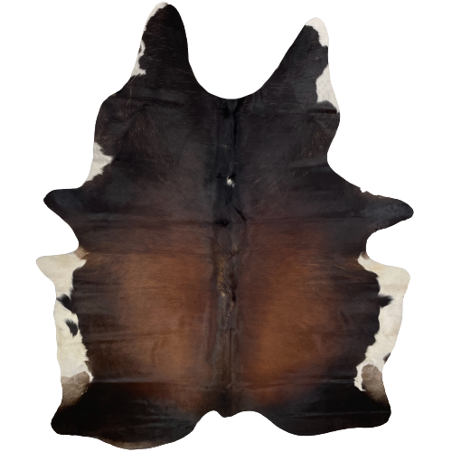 Large Black and Brown Brazilian Watusi Cowhide, with off-white on the belly - 7'11" x 5'11" (BRWA052)