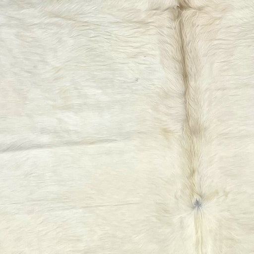 Closeup of this Large, Solid Off-White, Brazilian Cowhide, with longer hair on the spine - 7'9" x 5'11" (BRWT036)