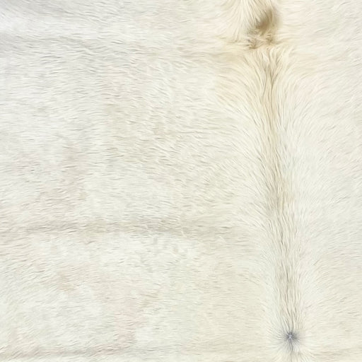 Closeup of this Large, Off-White, Brazilian Cowhide that has one medium and six small, brownish spots (BRWT038)