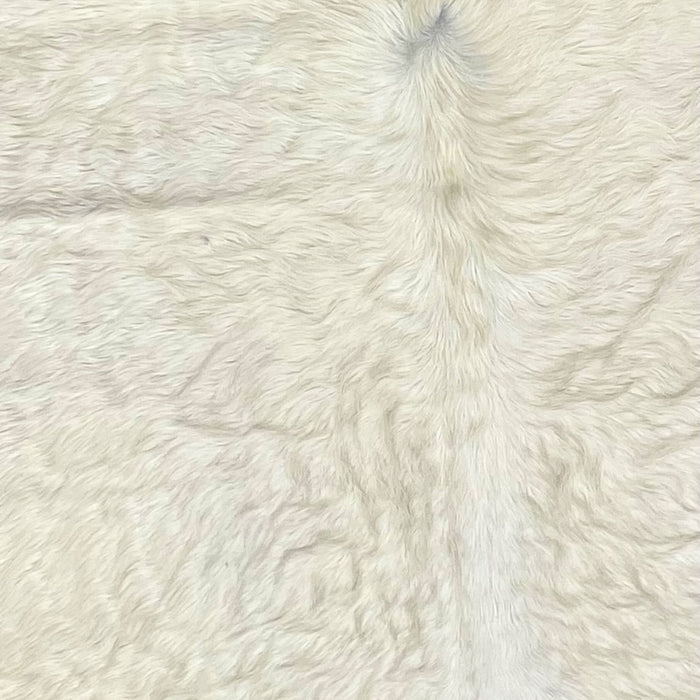 Closeup of this Off-White, Brazilian Cowhide, showing longer hair  (BRWT039)