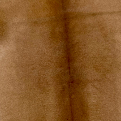 Solid Brown Calfskin (CALF396)
