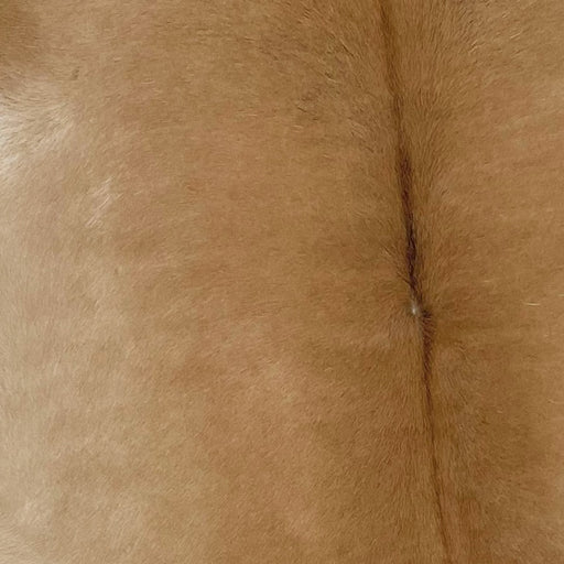 Closeup of this Brown Calfskin (CALF470)