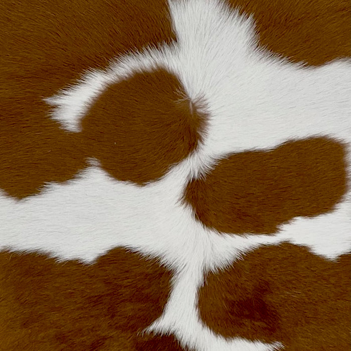 Closeup of this Colombian Calfskin, showing white with a large, brown spot across the shoulder, and a few smaller spots in the middle (CALF564)