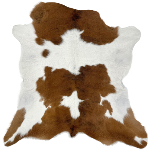 Brown and White Calfskin: white with brown across the shoulder and the lower edge, a large brown spot in the middle, and brown on part of the hind shanks - 3'1" x 2'11" (CALF566)