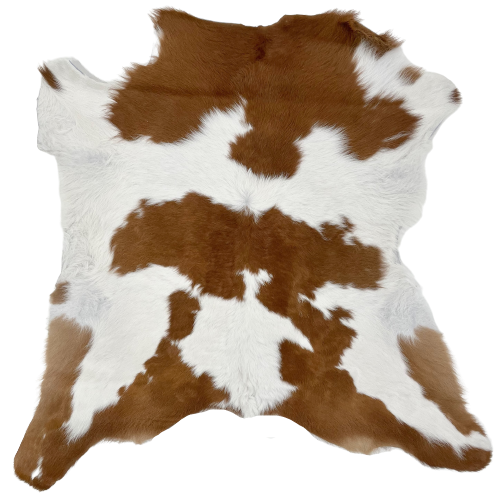 White and Brown Calfskin:  white with brown on the shoulder, a spot across the middle, along the lower edge, and on the hind shanks - 2'9" x 2'9"(CALF571)