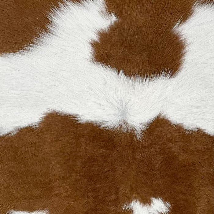 Closeup of this Colombian Calfskin, showing white with brown on the shoulder and a spot across the middle (CALF571)