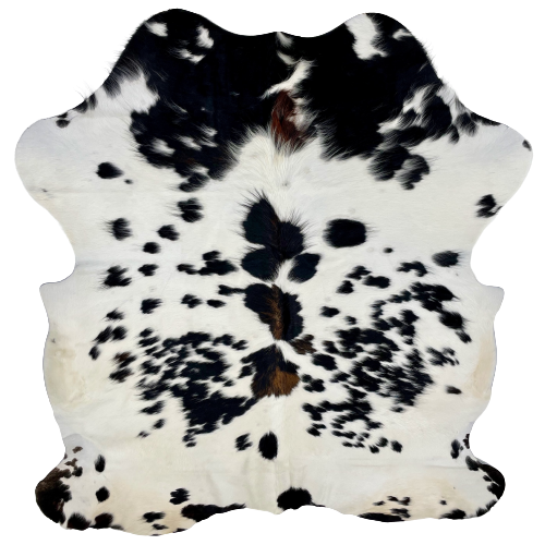 Colombian Black and White Cowhide:  white with black spots, and brown on part of the spine, and off-white on the belly and hind shanks - 7'1" x 5'7" (COBKW215)
