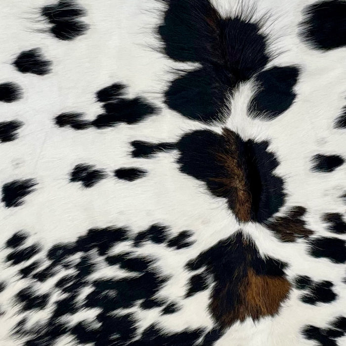 Closeup of this Colombian, Black and White Cowhide, showing white with black spots, and brown on part of the spine (COBKW215)