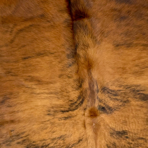 Closeup of this Colombian, Brindle Cowhide that is golden brown in the middle, darker reddish brown on the sides and shoulder, and has black brindle markings (COBR803)