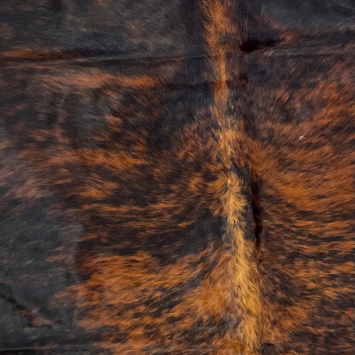 Closeup of this Large, Colombian, Brindle Cowhide that is black and red brown, with just a touch of white on the belly (COBR805)