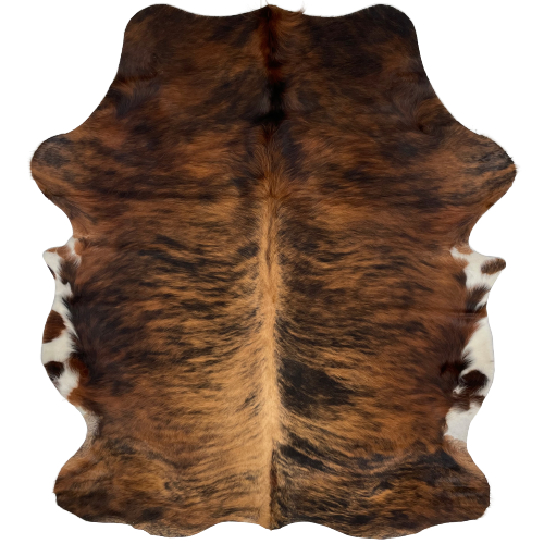 Brown and Black Colombian Brindle Cowhide:  brown and black, with lighter brown down the spine, and white with brown spots on the belly - 6' x 4'9" (COBR863)