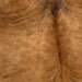 Closeup of this Large, Colombian, Brindle Cowhide, showing golden, reddish brown with black, brindle markings (COBR882)