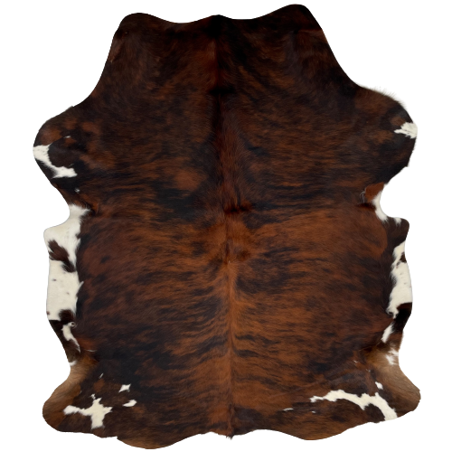 Colombian Red Brown and Black Brindle Cowhide,  and has white with brown spots on the belly and shanks - 6'8" x 5'2" (COBR917)