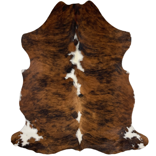 Brown and Black Colombian Brindle Cowhide:  brown and black, with white spots down the spine, and white with brown spots on both hind shanks - 6'3" x 4'6" (COBR943)