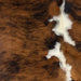 Closeup of this Colombian, Brindle Cowhide, showing brown and black, with white spots down the spine (COBR943)