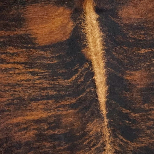 Closeup of this Colombian, Brindle Cowhide, showing black and red brown, with golden brown down part of the spine (COBR951)