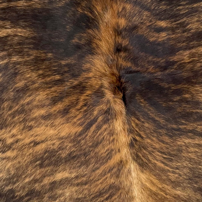 Closeup of this Colombian, Brindle Cowhide, showing black and golden brown (COBR956)