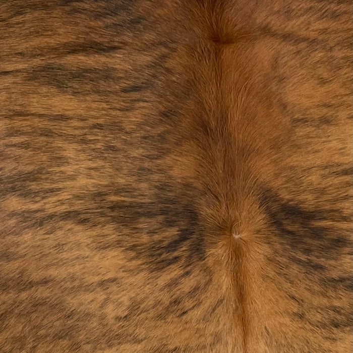 Closeup of this Large, Colombian, Brindle Cowhide , showing brown and black - 7'6" x 5'5" (COBR959)
