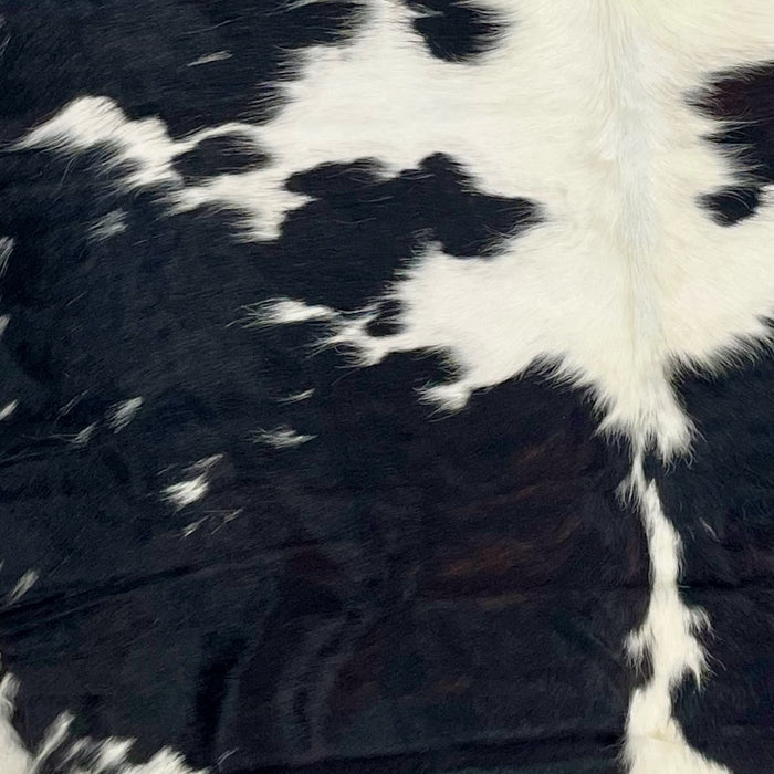 Closeup of this Large, Colombian, Tricolor Cowhide that appears to be white with black spots, but there is dark brown in some of the black spots - 7'6" x 5'7" (COTR528)