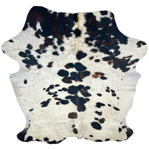 Colombian Cloudy Tricolor Cowhide: off-white with spots that are brown and black, and faint, cloudy, brown spots - 7'5" x 6' (COTR565)