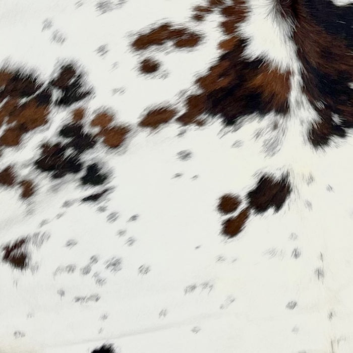 Closeup of this Large, Colombian, Tricolor Cowhide, showing white with faint speckles, and spots that are a mix of black and brown (COTR621)