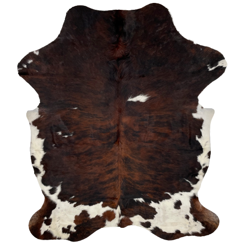 Colombian Tricolor Cowhide:  has a black and brown, brindle pattern, with a few small, white spots, and white with black and brown spots on the belly and hind shanks - 7'2" x 5' (COTR726)