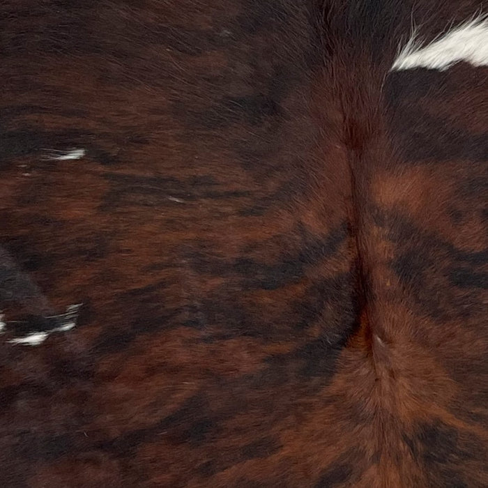 Closeup of this Colombian, Tricolor Cowhide, showing a black and brown, brindle pattern, with a few small, white spots (COTR726)