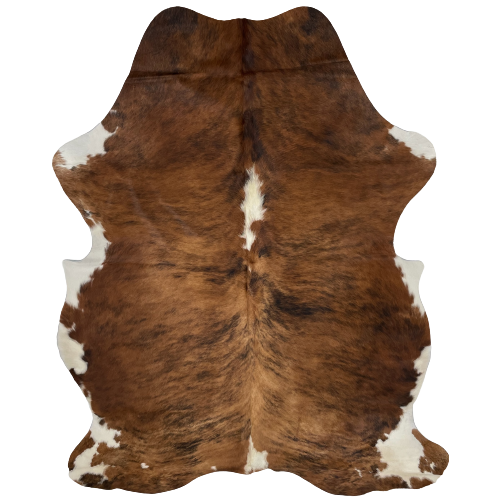 Colombian Tricolor Cowhide:  brown with black brindle markings, and one off-white spot in the middle of the shoulder and another in the middle, near the lower edge, and off-white on part of the belly and shanks - 7'2" x 5'3" (COTR747)