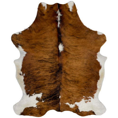 Colombian Tricolor Cowhide:  has a brown and black, brindle pattern, with four white spots on the spine, off-white on the belly, and white on the hind shanks - 6'2" x 4'5" (COTR781)