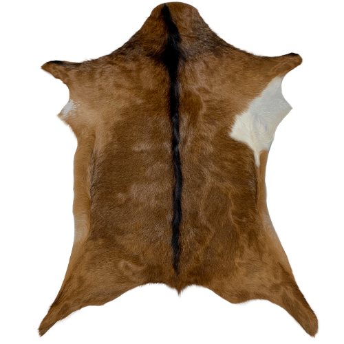 Goatskin Brown with Black Spine , touch of white - 2'8" x 2'5" (GOAT084)