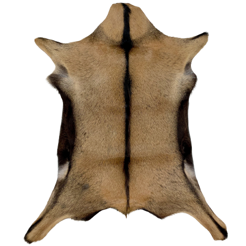 Brown Goatskin: brown with a strip of dark chocolate down the middle and along the side edges  - 2'7" x 2'1" (GOAT124)