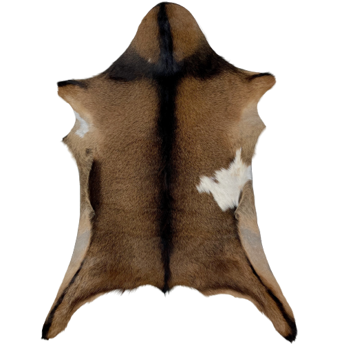 Brown and Black Goatskin:  brown with black speckles, and has a black strip across the shoulder and down the spine, and a white spot on the right side - 3' x 2'3" (GOAT171)