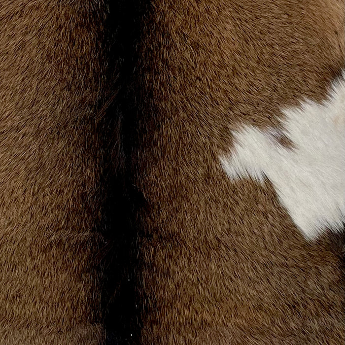Closeup of this Brown and Black Goatskin, showing brown with black speckles, a black strip down the spine, and a white spot on the right side (GOAT171)