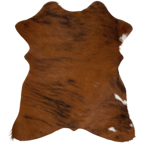 Brown and Black Brindle Mini Cowhide: with a few small splashes of white along the right side edge  - 2'8" x 2'3" (MINI120)