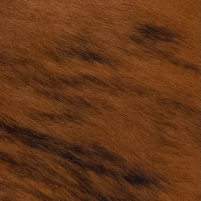 Closeup of Brindle, Mini Cowhide that is brown and black, with a few small splashes of white along the right side edge (MINI120)
