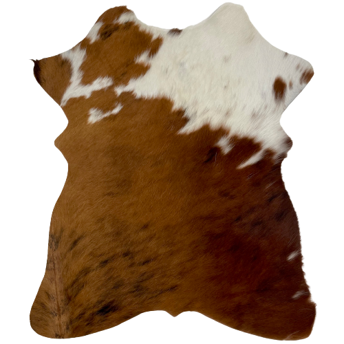Tricolor Mini Cowhide:  has a brown and black brindle pattern on lower part, and is darker on the right side, also white with a few brown spots and speckles on the upper part of the hide - 2'8" x 2'3" (MINI121)