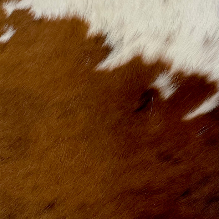 Closeup of this Tricolor, Mini Cowhide that has a brown and black brindle pattern on lower part, and is darker on the right side, is also white with a few brown spots and speckles on the upper part of the hide (MINI121)