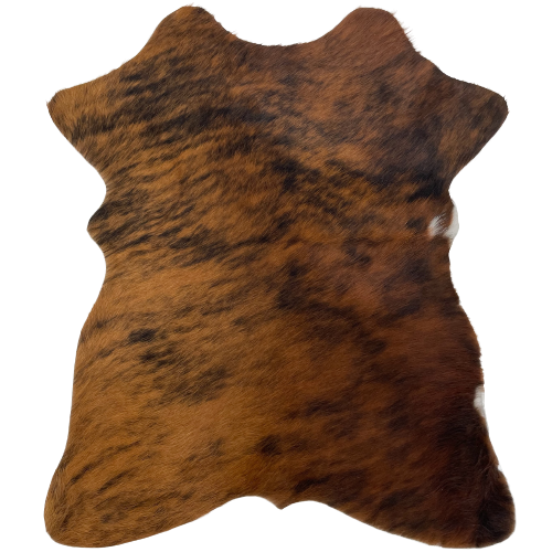 Brown and Black Brindle Mini Cowhide, with a tiny splash of white along the right side edge  - 2'8" x 2'3" (MINI124)