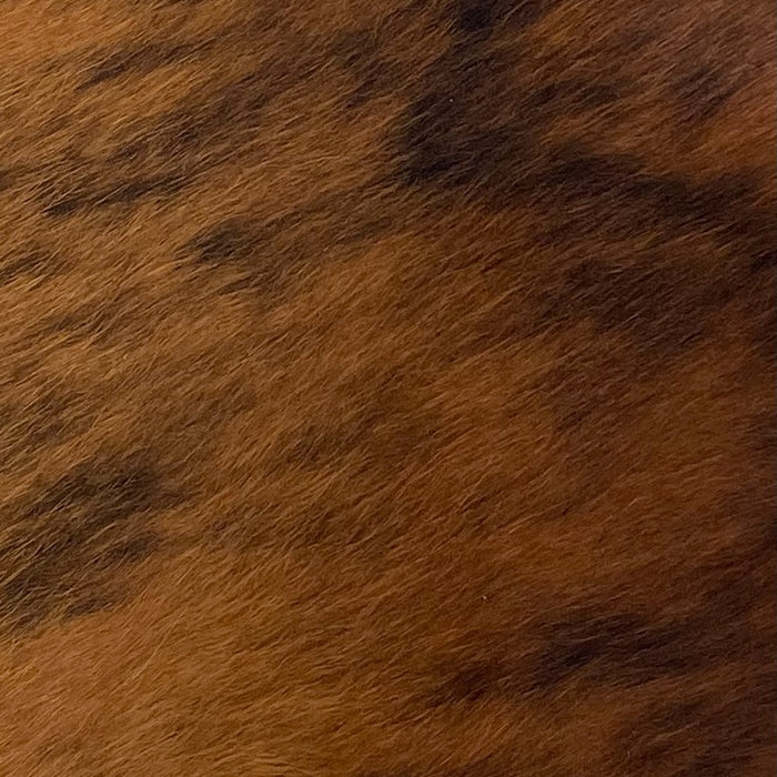 Closeup of this Brown and Black, Brindle, Mini Cowhide (MINI124)