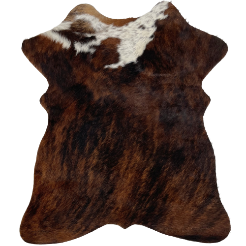 Dark Brindle, Mini Cowhide:  brown and black, and has a splash of white with black speckles, and two black and brown spots, on the shoulder of the hide - 2'8" x 2'3" (MINI126)