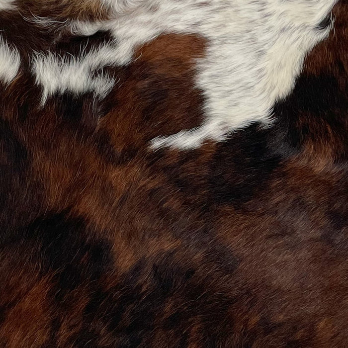 Closeup of this Dark Brindle, Mini Cowhide that is brown and black, and has a splash of white with black speckles, and two black and brown spots, on the shoulder of the hide (MINI126)