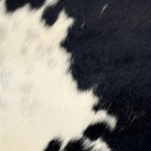 Closeup of this Black and Off-White, Mini Cowhide that has a few black, cloudy speckles on the left side (MINI148)