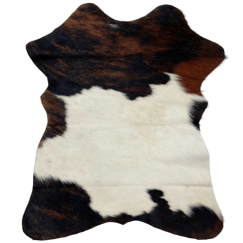 Tricolor Mini Cowhide: has a mix of brown and black across the shoulder and the lower edge, and off-white across the middle - 2'8" x 2'3" (MINI170)