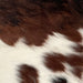 Closeup of this Tricolor, Mini Cowhide, showing a brown and black brindle pattern across the top half of the hide, and white with small, brown and black spots on the lower half (MINI176)