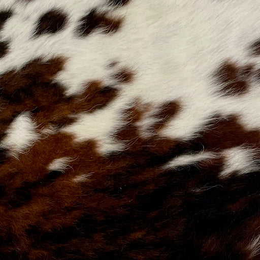 Closeup of this Tricolor Mini Cowhide, showing off-white, with one large spot and several small spots that have a mix of black and brown (MINI183)